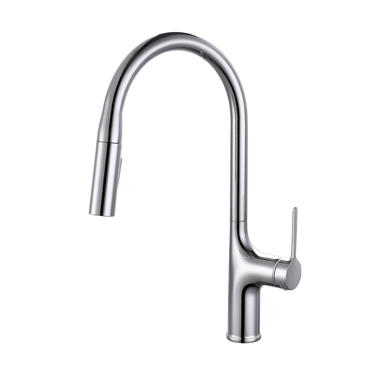 Kitchen Faucet with Pull Down Sprayer AF1017-5B